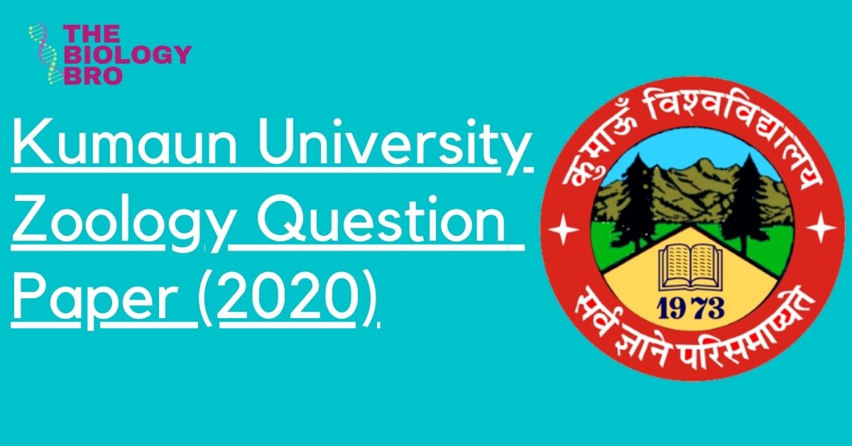 Read more about the article RDET Previous Year Zoology question paper Kumaun University 2020