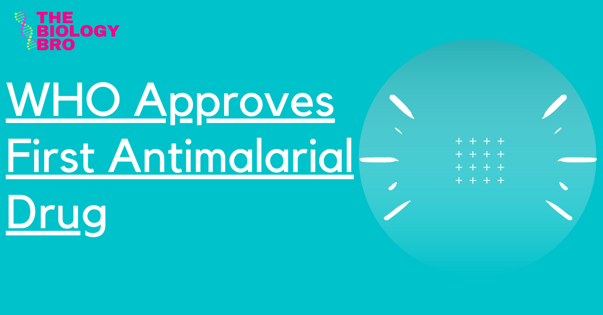You are currently viewing WHO approves first antimalarial drug Mosquirix